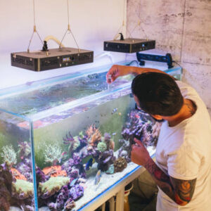 خدمات سرویس آکواریوم